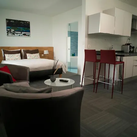 شقة فندقية أبارتهوتيل 46 أيه 3*